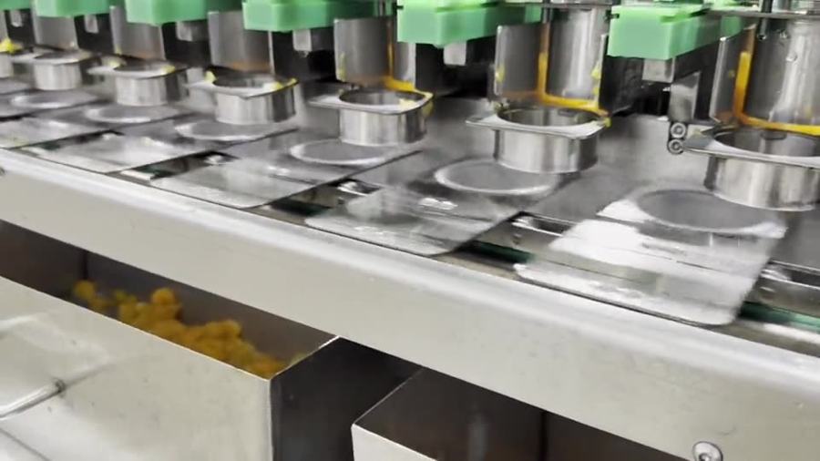 Llenadora de vasos multicarril llenando gajos de mandarina